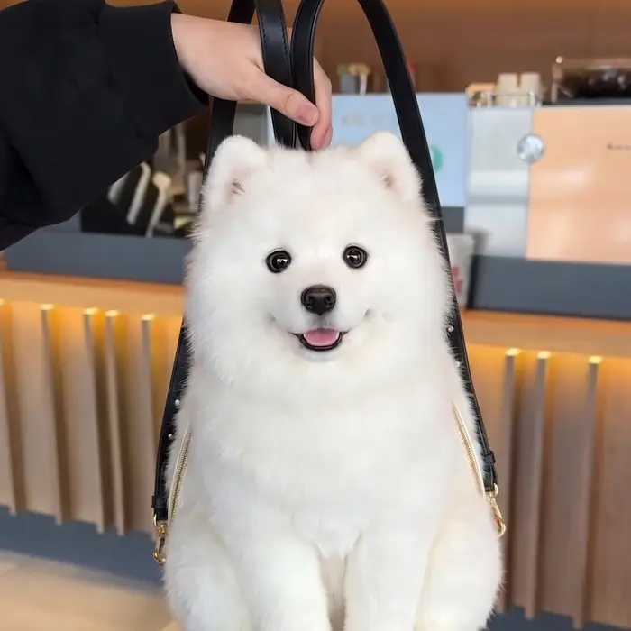 Samoyed Pupack carried by its faux-leather handles